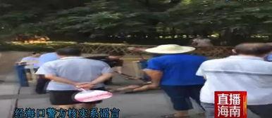 遂川爆料哥杀人视频,真相与反思